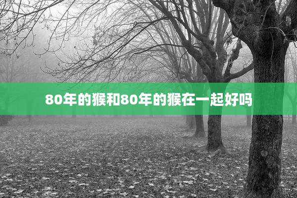 80年的猴和80年的猴在一起好吗
