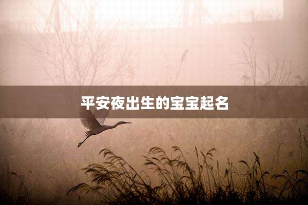平安夜出生的宝宝起名