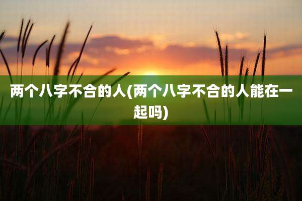 两个八字不合的人(两个八字不合的人能在一起吗)