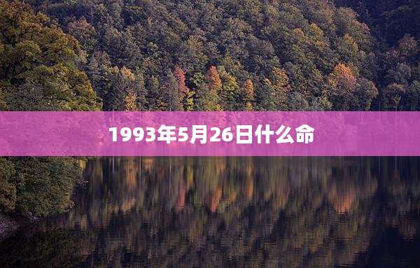 1993年5月26日什么命