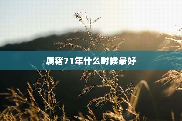属猪71年什么时候最好