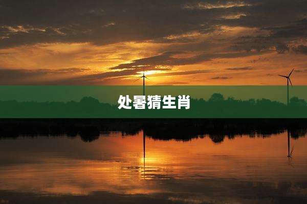 处暑猜生肖