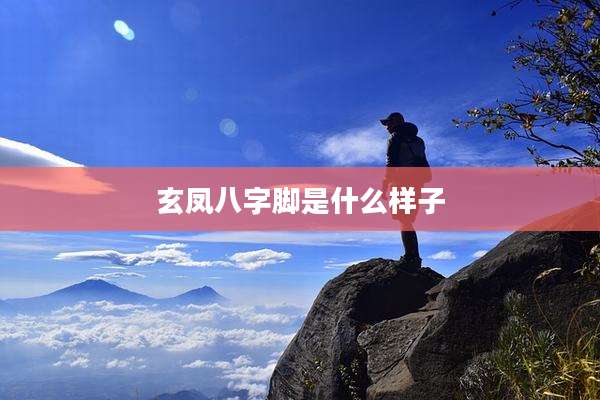 玄凤八字脚是什么样子