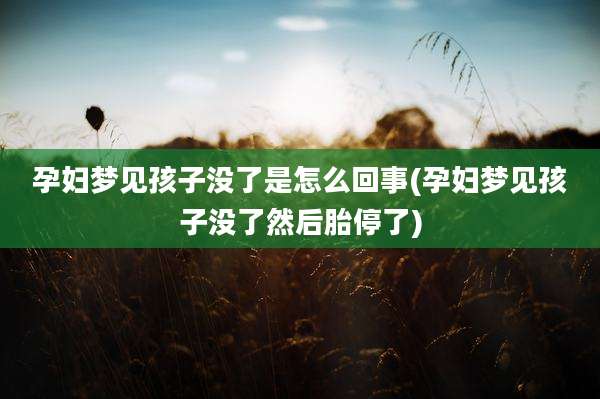 孕妇梦见孩子没了是怎么回事(孕妇梦见孩子没了然后胎停了)