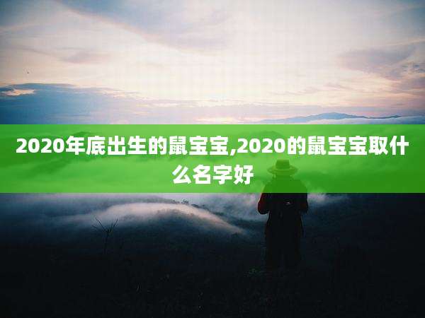 2020年底出生的鼠宝宝,2020的鼠宝宝取什么名字好