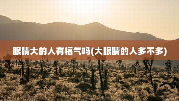 眼睛大的人有福气吗(大眼睛的人多不多)