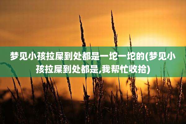 梦见小孩拉屎到处都是一坨一坨的(梦见小孩拉屎到处都是,我帮忙收拾)