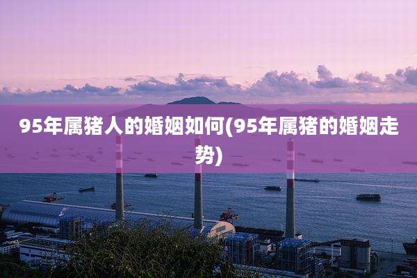 95年属猪人的婚姻如何(95年属猪的婚姻走势)
