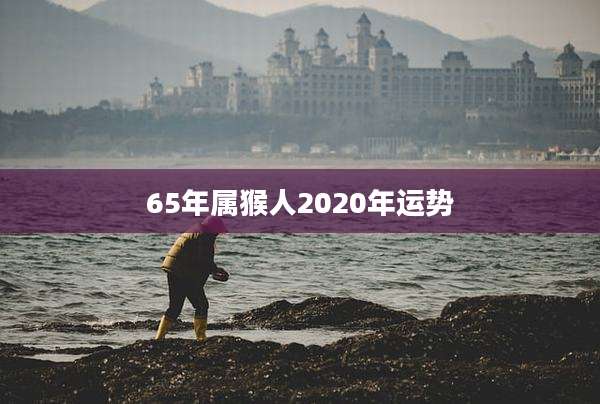 65年属猴人2020年运势