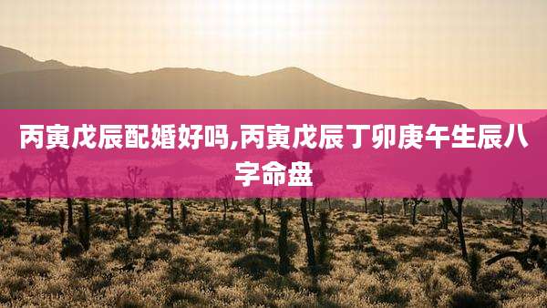 丙寅戊辰配婚好吗,丙寅戊辰丁卯庚午生辰八字命盘