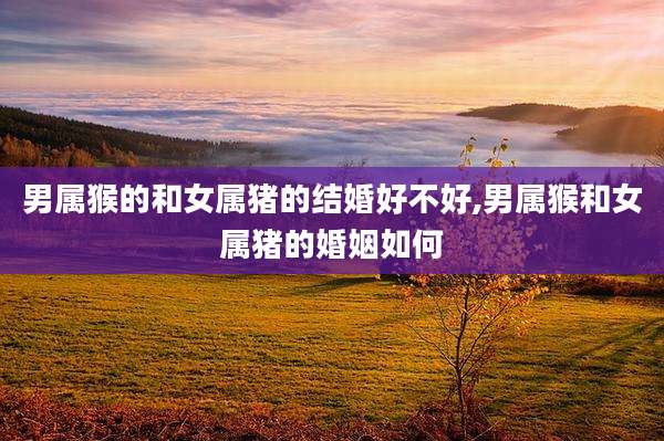 男属猴的和女属猪的结婚好不好,男属猴和女属猪的婚姻如何