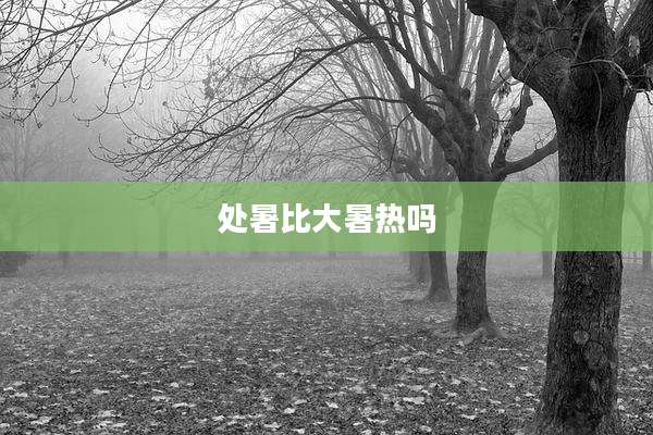处暑比大暑热吗