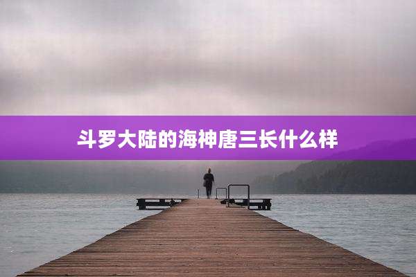 斗罗大陆的海神唐三长什么样