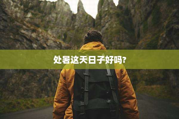 处暑这天日子好吗?
