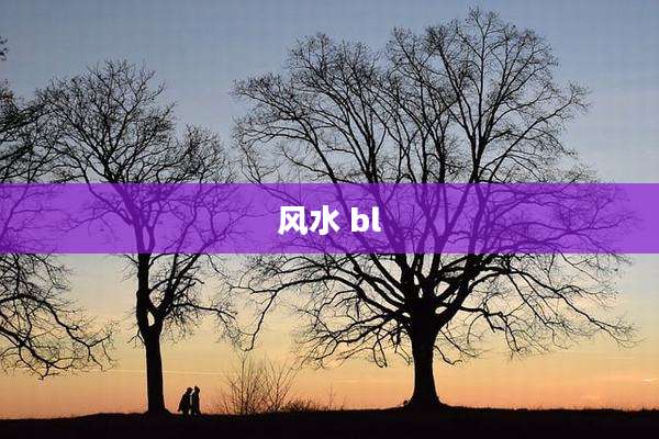 风水 bl