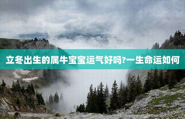 立冬出生的属牛宝宝运气好吗?一生命运如何