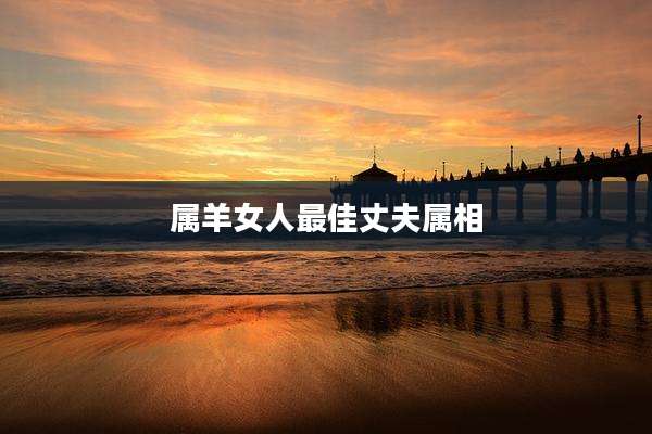 属羊女人最佳丈夫属相