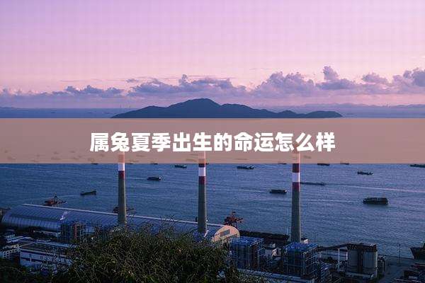 属兔夏季出生的命运怎么样
