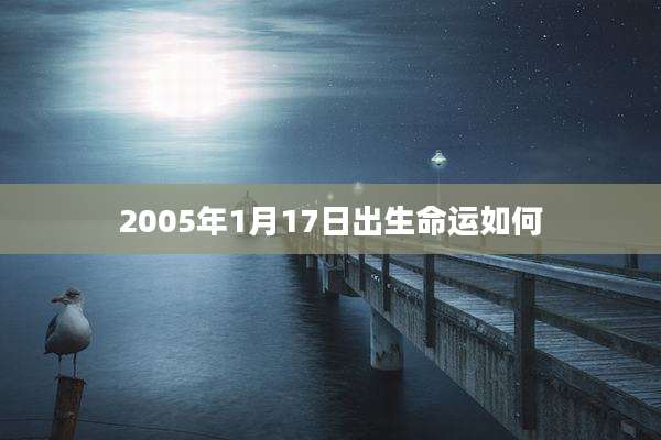 2005年1月17日出生命运如何