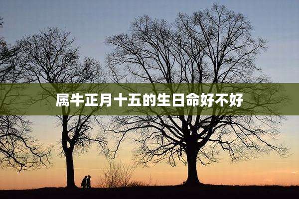 属牛正月十五的生日命好不好