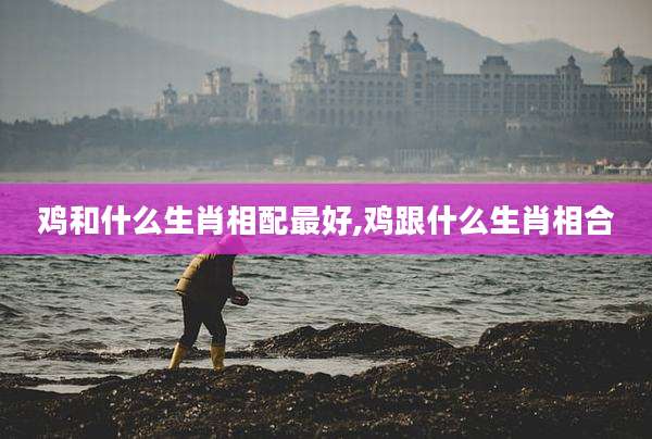 鸡和什么生肖相配最好,鸡跟什么生肖相合