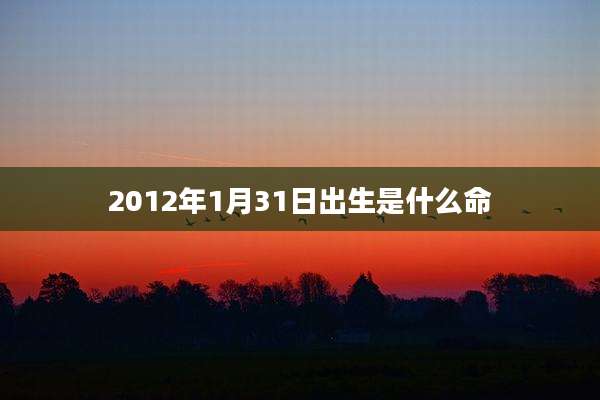 2012年1月31日出生是什么命