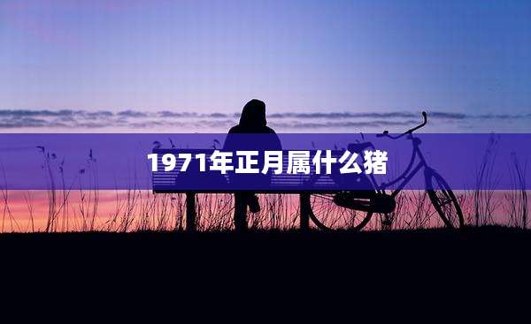 1971年正月属什么猪