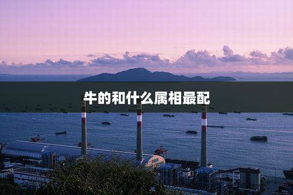 牛的和什么属相最配