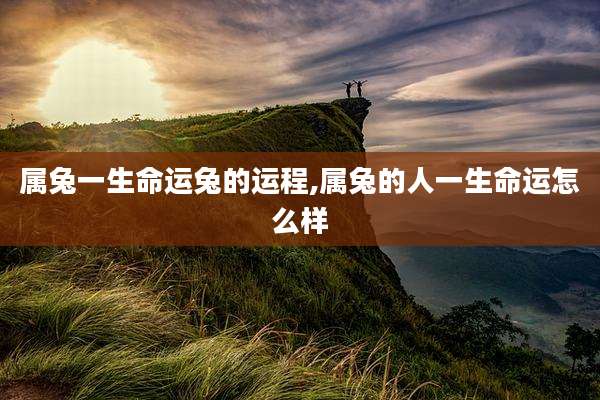 属兔一生命运兔的运程,属兔的人一生命运怎么样