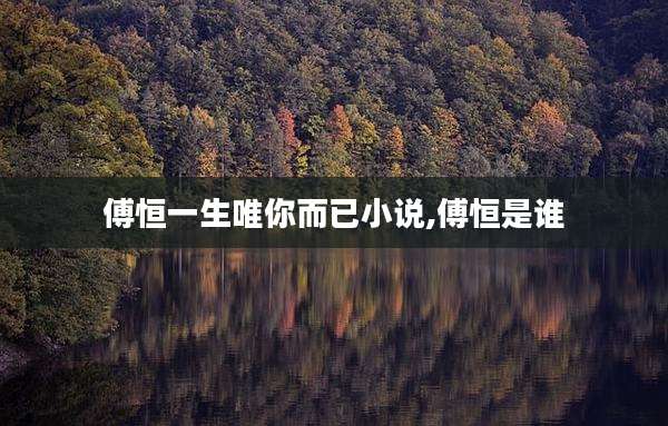 傅恒一生唯你而已小说,傅恒是谁