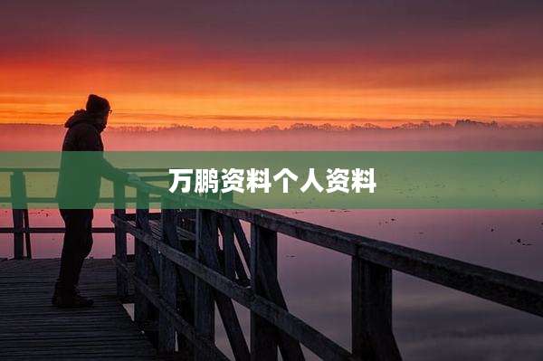 万鹏资料个人资料