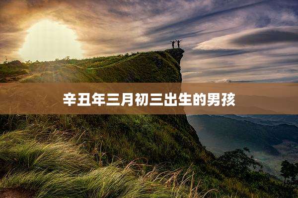 辛丑年三月初三出生的男孩