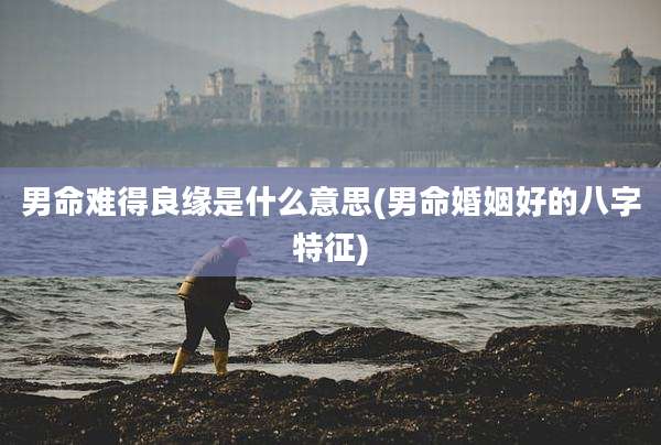 男命难得良缘是什么意思(男命婚姻好的八字特征)