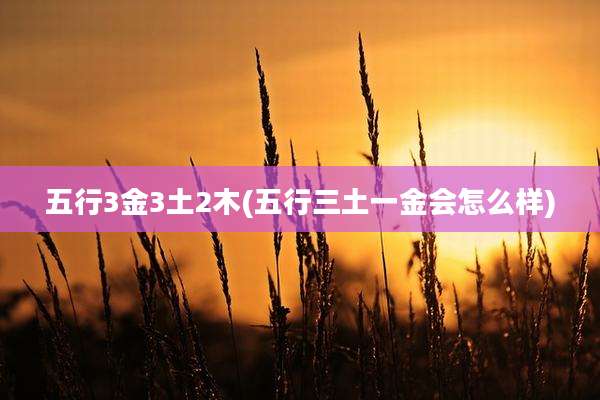 五行3金3土2木(五行三土一金会怎么样)