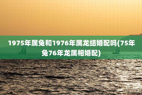 1975年属兔和1976年属龙结婚配吗(75年兔76年龙属相婚配)