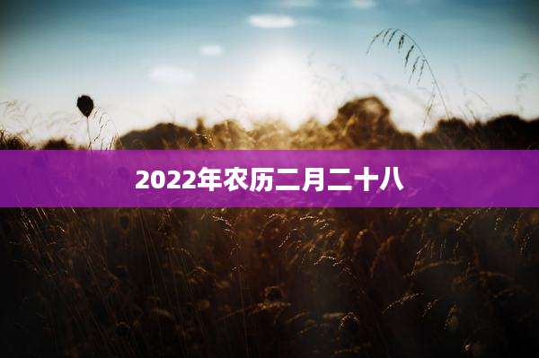 2022年农历二月二十八