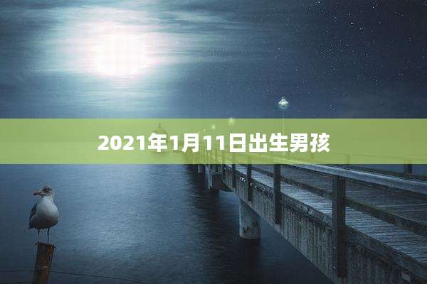 2021年1月11日出生男孩
