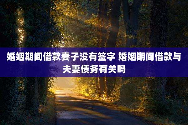 婚姻期间借款妻子没有签字 婚姻期间借款与夫妻债务有关吗