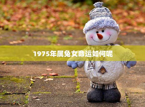 1975年属兔女命运如何呢
