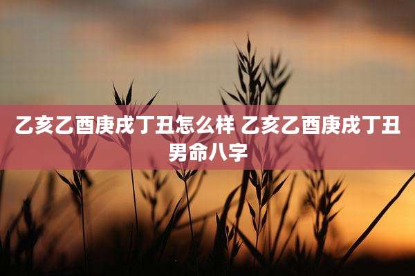 乙亥乙酉庚戌丁丑怎么样 乙亥乙酉庚戌丁丑男命八字