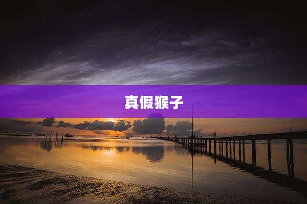 真假猴子