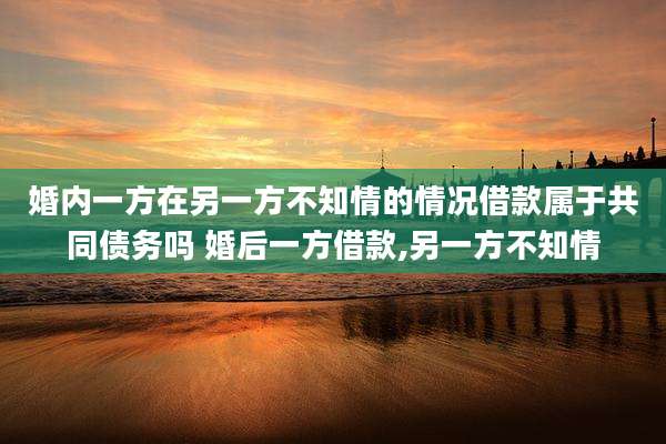 婚内一方在另一方不知情的情况借款属于共同债务吗 婚后一方借款,另一方不知情
