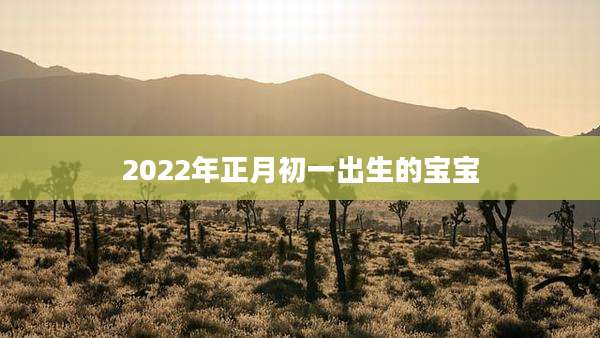 2022年正月初一出生的宝宝