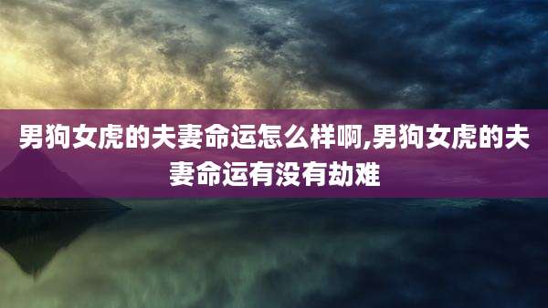 男狗女虎的夫妻命运怎么样啊,男狗女虎的夫妻命运有没有劫难