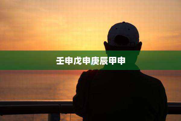 壬申戊申庚辰甲申