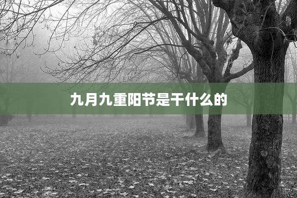 九月九重阳节是干什么的