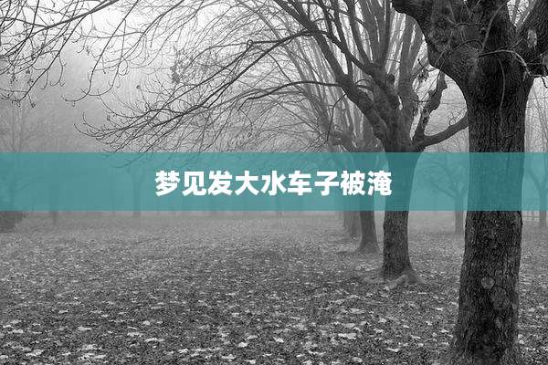 梦见发大水车子被淹