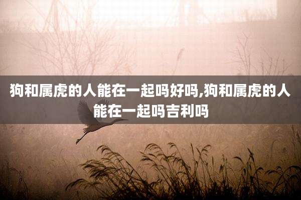 狗和属虎的人能在一起吗好吗,狗和属虎的人能在一起吗吉利吗