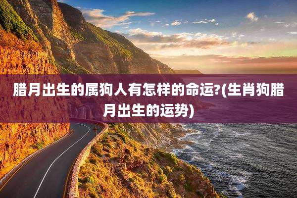腊月出生的属狗人有怎样的命运?(生肖狗腊月出生的运势)