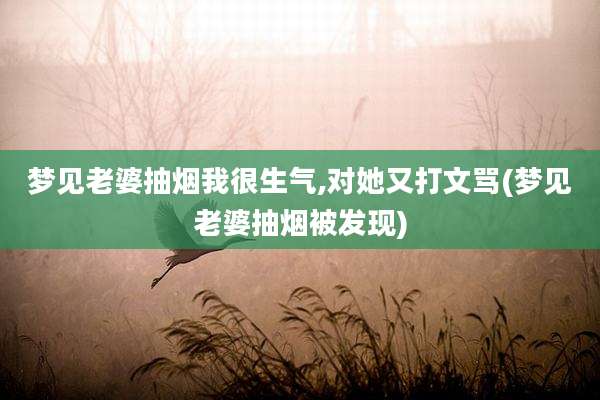 梦见老婆抽烟我很生气,对她又打文骂(梦见老婆抽烟被发现)